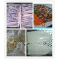 (Squid tube squid wings) gefrorener illex squid